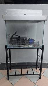 Aquarium 