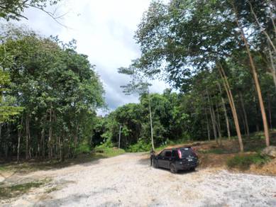 Agricultural Land in Batang Kali, SGR