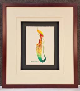 FramedWatercolor Botanical Nepenthes Rafflesiana I