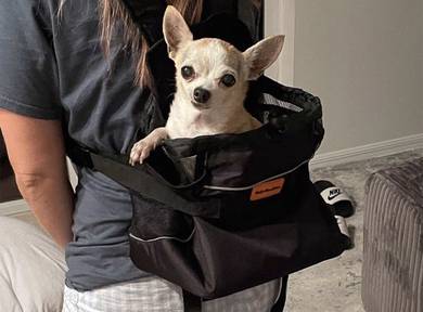 Pet Front & Back Carrier Bag (Like New)