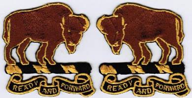 10th Cavalry Regiment Buffalo Soldier DU Patch