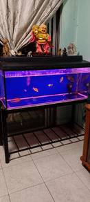 fish tank 1set 