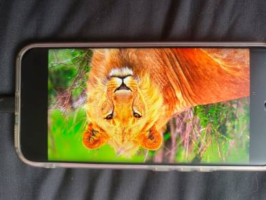 tecno pova slim