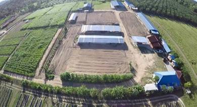 Agricultural Land in Kuantan, PHG