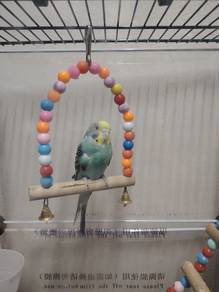 saya jual burung, sekali sangkar dan neatbox