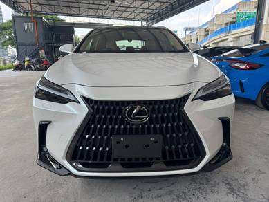 2023 Lexus NX 250 LUXURY