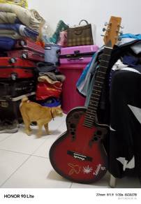 EVO F538CZR Red Acoustic Guitar 38