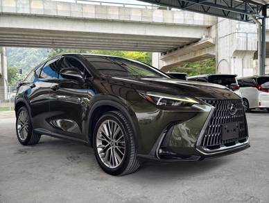 Lexus NX 250 LUXURY in Kayu Ara, SGR
