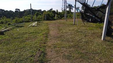 Agricultural Land in Masjid Tanah, MLK