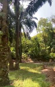 Agricultural Land in Segamat, JHR