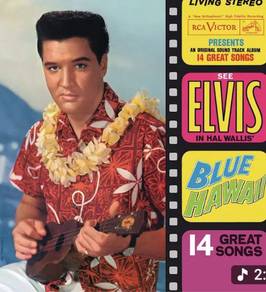Elvis & many oldies Vinyl albums for sale.