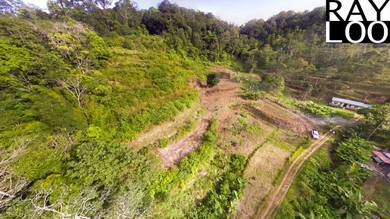 Agricultural Land in Balik Pulau, PNG