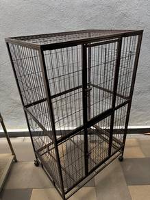 for cats and pets