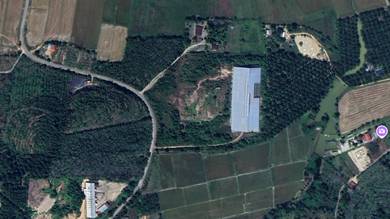 Agricultural Land in Pendang, KDH