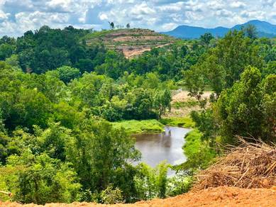 Agricultural Land in Kuala Kubu Baru, SGR