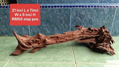 aquarium driftwood tank Channa best