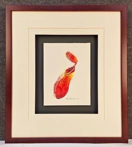 Framed Watercolor Botanical Nepenthes Tentaculate