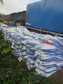 Sekam padi kuning Dan bakar untuk tanaman 6366