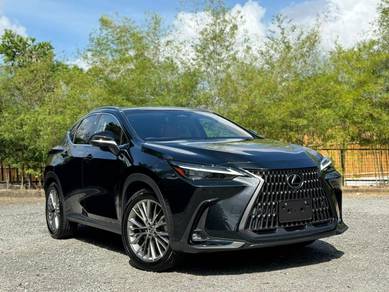 Lexus NX 250 LUXURY in Johor Bahru, JHR