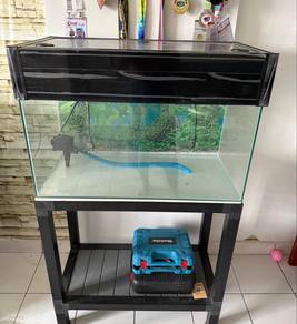 aquarium