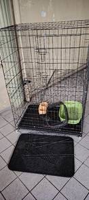 sangkar besar dgn free gift 