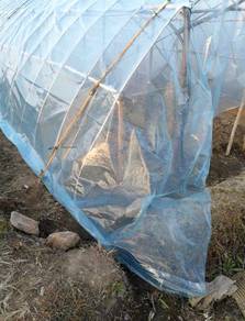 8s x 4m x 6m UV sheet / Greenhouse Film