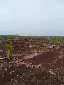 Agricultural Land in Banting, SGR