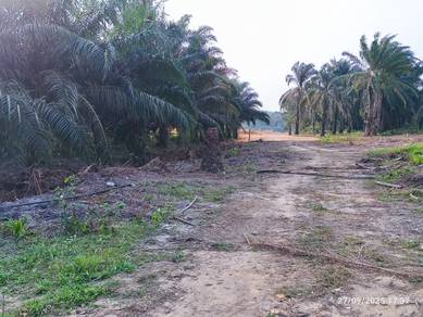 Property Developer and Construction Company