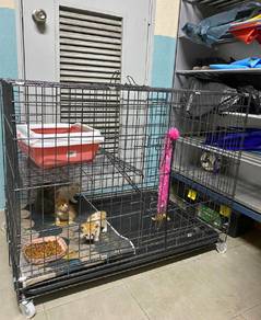 sangkar kucing 1 tingkat