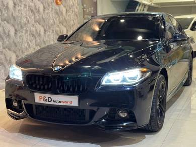 BMW 520i 20i M SPORT (CKD) in Ipoh, PRK