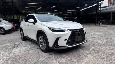 Lexus NX 250 LUXURY in Setapak, KUL
