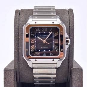 Brand New Jun 2026 Cartier WSSA0071 GB0004