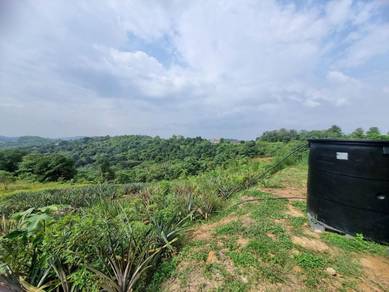 Agricultural Land in Puncak Alam, SGR