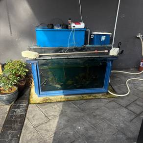 fiber tank 4 kaki full screen