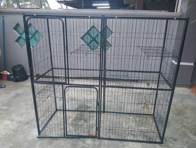 sangkar kucing