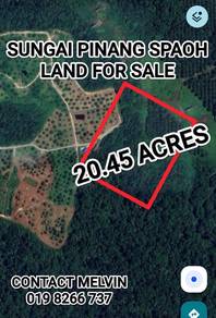Agricultural Land in Kuching, SWK