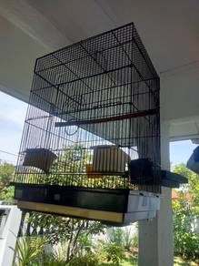 sangkar burung