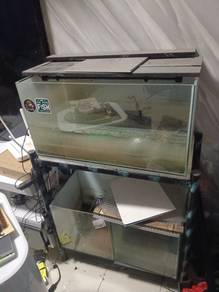 akuarium ikan 2 kaki
