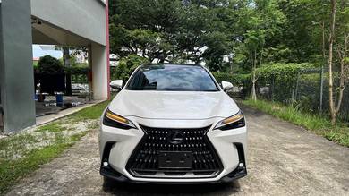 Lexus NX 250 LUXURY in Desa Petaling, KUL