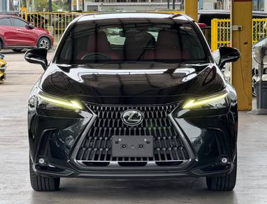 Lexus NX 250 BASE GRADE in Johor Bahru, JHR