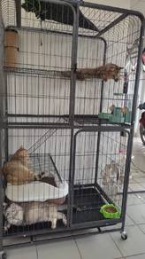 sangkar kucing