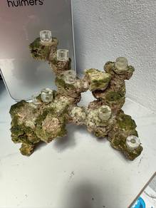 custome Rockscape Aquarium