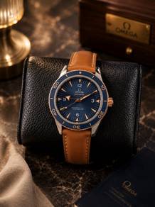 Omega Seamaster 300 Titanium 41mm (BRAND NEW)
