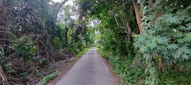 Agricultural Land in Raub, PHG