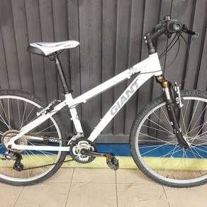 Giant bicycle