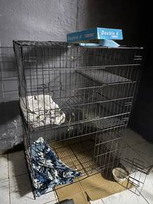 sangkar kucing tiga tingkat