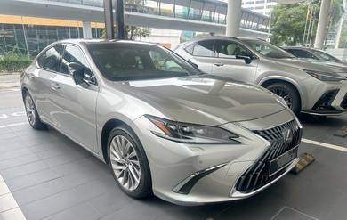 Lexus ES 250 LUXURY in Taman Tun Dr Ismail, KUL