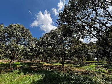 Agricultural Land in Cheras, KUL