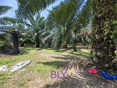 Agricultural Land in Banting, SGR