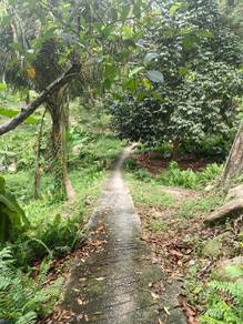 Agricultural Land in Teluk Kumbar, PNG